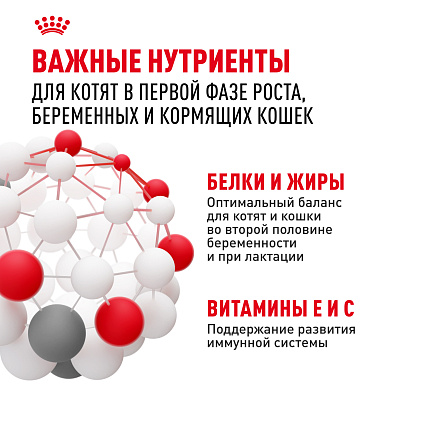 Royal Canin Mother&Babycat Корм сухой для котят в период первой фазы роста и отъема, беременных и кормящих кошек, 0,4 кг